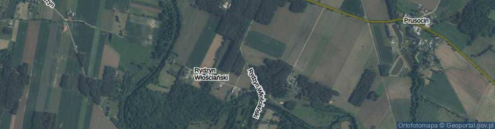 Zdjęcie satelitarne Rydzyn Włościański ul.